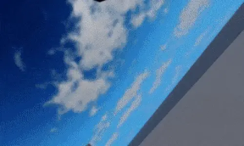 Strongest in History F preview